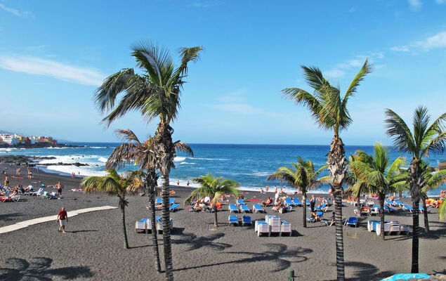 Borges Fuente - Photo 43