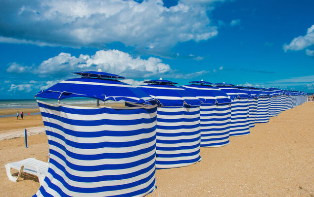 Cap Cabourg - Photo 20