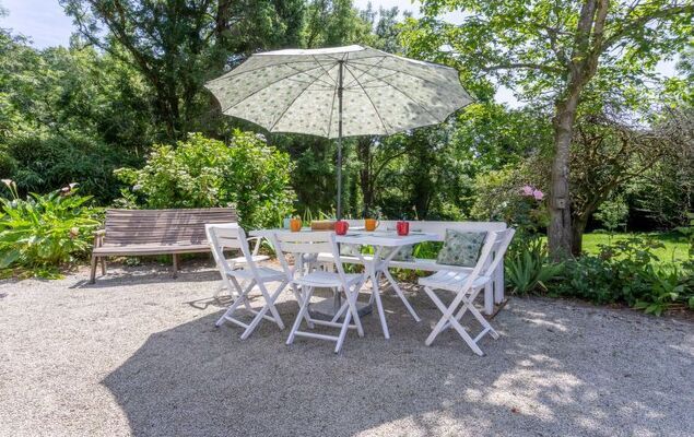 Les Oiseaux - Photo 4