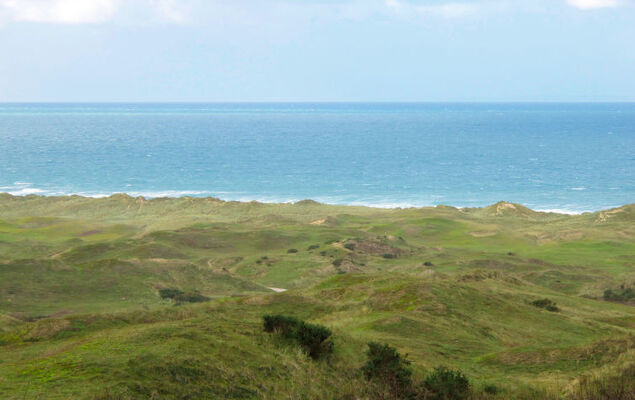 Les Oiseaux - Photo 18