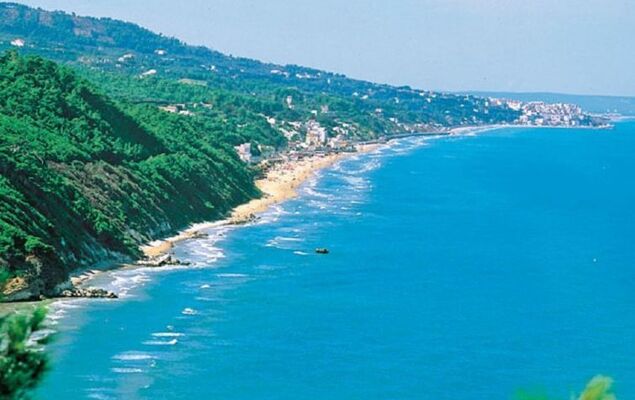 Happy Easy - Photo 4