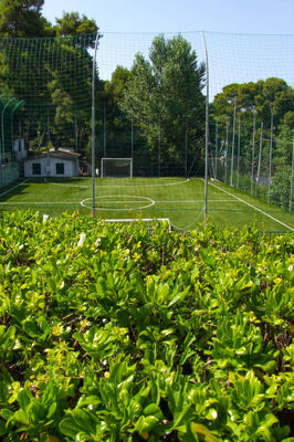 Happy Easy - Photo 20