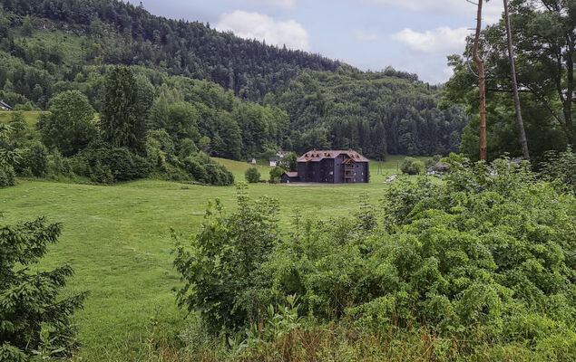 Spatzennest / Top 7 - Photo 32