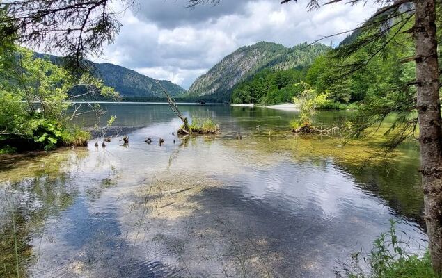 Spatzennest / Top 7 - Photo 33