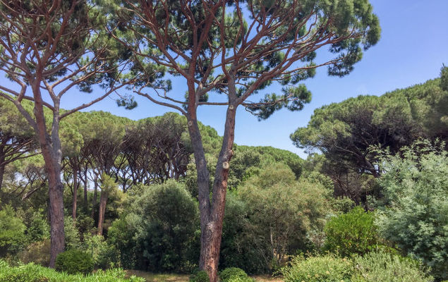 Le Thalassa 1 - Photo 1